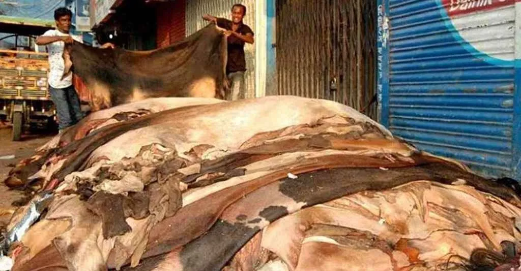 কোরবানির পশুর চামড়ার মূল্য নির্ধারণ