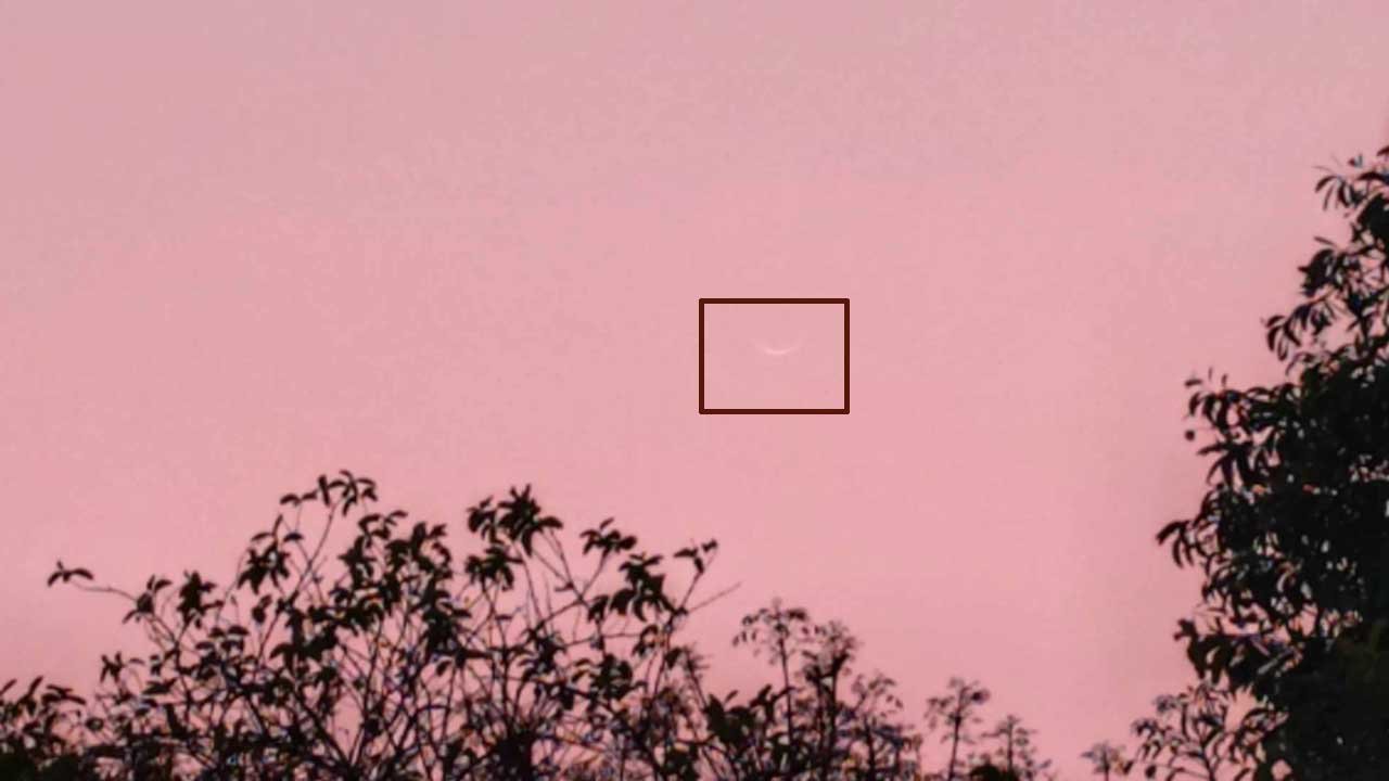 temparature-20250228200701