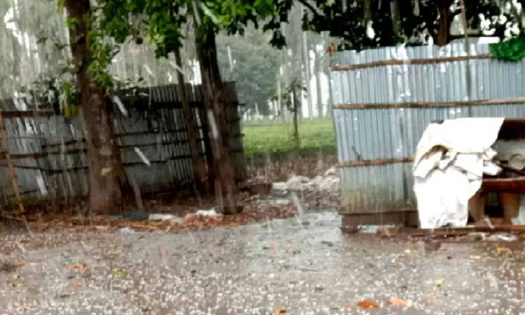 চাঁপাইনবাবগঞ্জে শিলাবৃষ্টি, শীতকালীন ফসলের ব্যাপক ক্ষতি