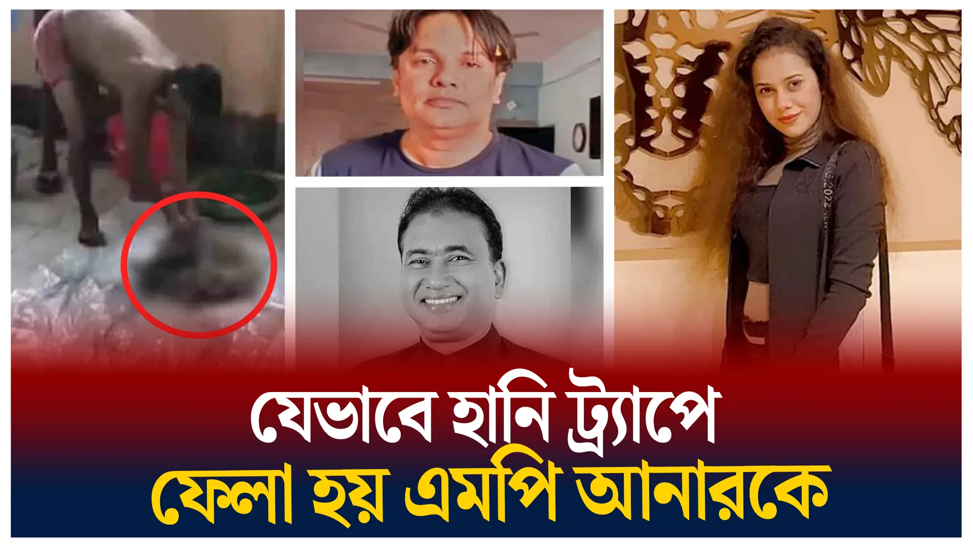 যেভাবে শাহীনের বন্ধু হয়ে ওঠেন শিলাস্তি