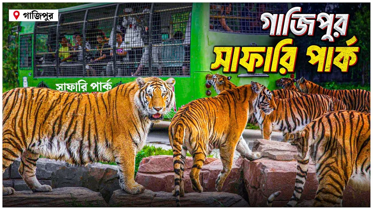 এশিয়ার সর্ববৃহৎ সাফারি পার্ক বাংলাদেশে