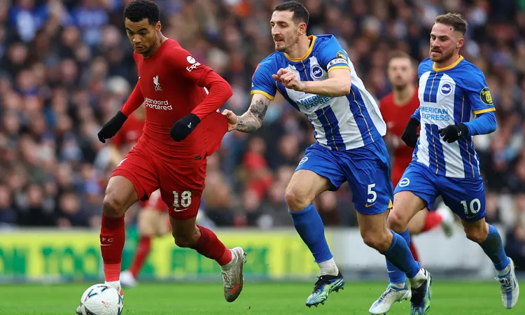 Ending up at a struggling Liverpool did not help Gakpo: Koeman