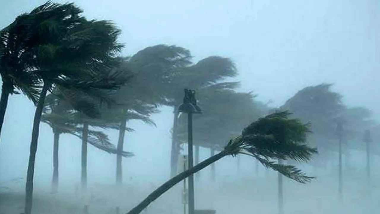 storm_20241010_225927947