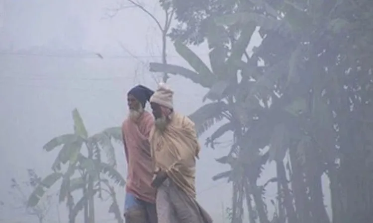 শীতের তীব্রতা বাড়ছে, জনজীবন বিপর্যস্ত