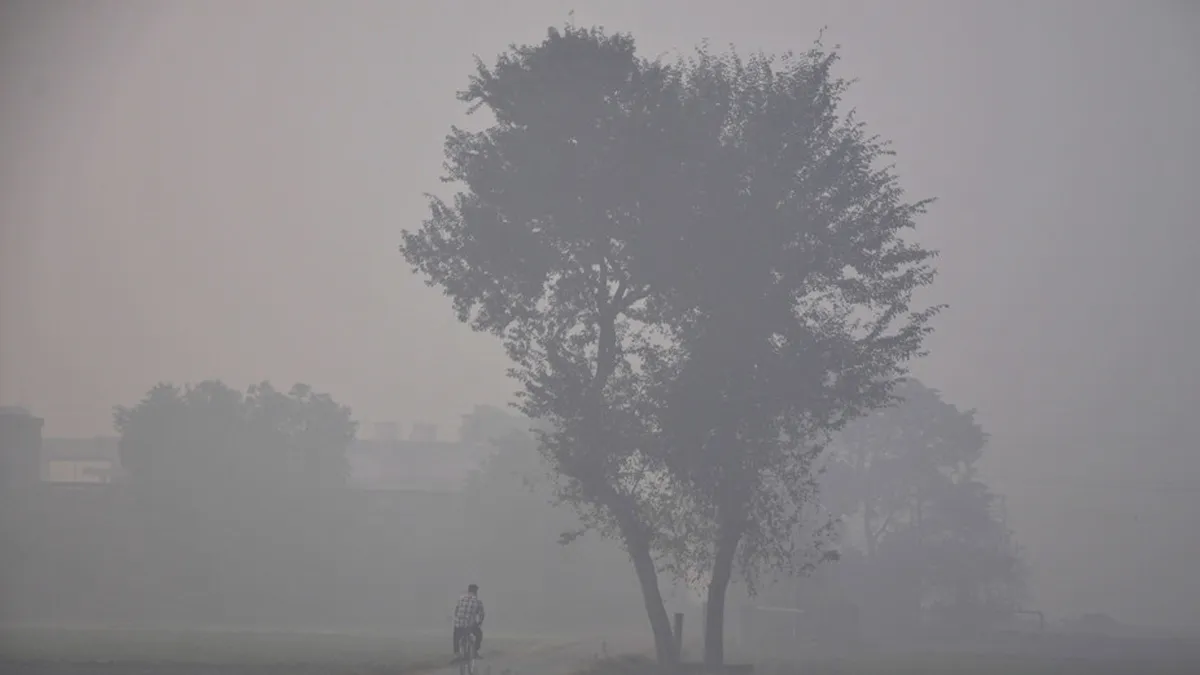 পঞ্চগড়ে তাপমাত্রা নামল ১৪ ডিগ্রিতে