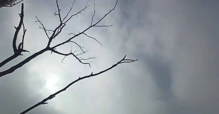 দুদিন পর ঢাকার আকাশে দেখা মিললো সূর্যের