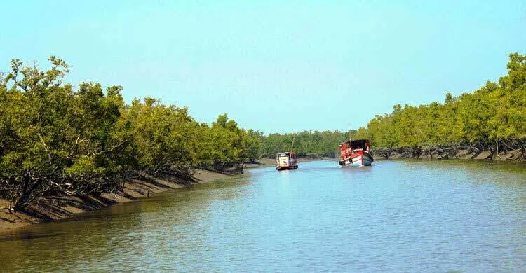 সুন্দরবনের ১০ কিমির মধ্যে শিল্প স্থাপন নিষিদ্ধ, প্রজ্ঞাপন জারি