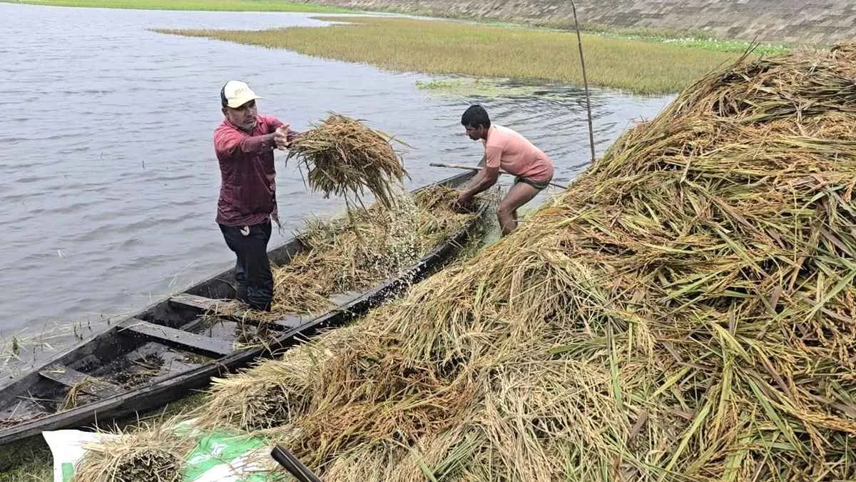 সুনামগঞ্জে বৃষ্টি কমায় স্বস্তি, তবে কাটেনি দুর্ভোগ