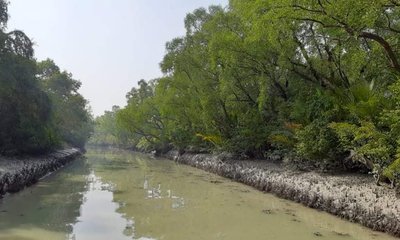 sundarban-20240830125935