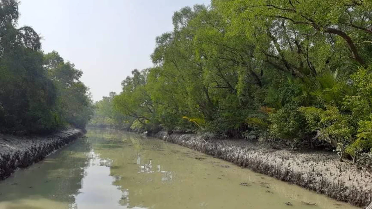 sundarban-20240830125935