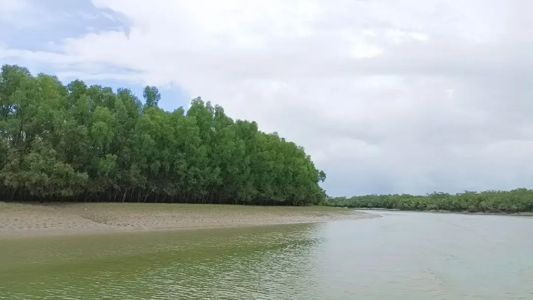 সুন্দরবনে ২ দিনে ২২ জেলে অপহরণ, উপকূলে আতঙ্ক