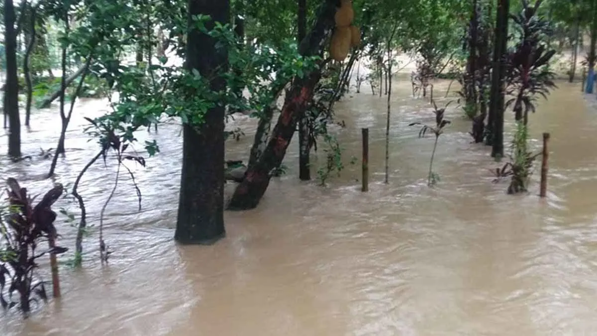 সিলেটে পানিতে ডুবে ও বিদ্যুৎস্পৃষ্টে সাতজনের মৃত্যু