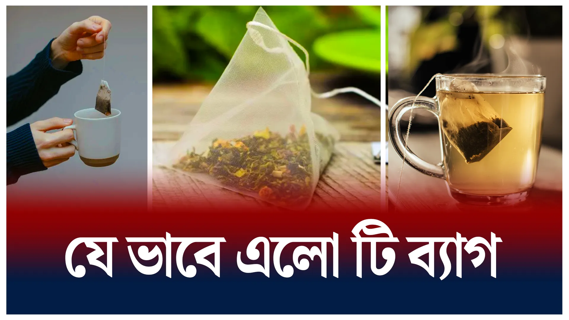 টি ব্যাগ কীভাবে এল?