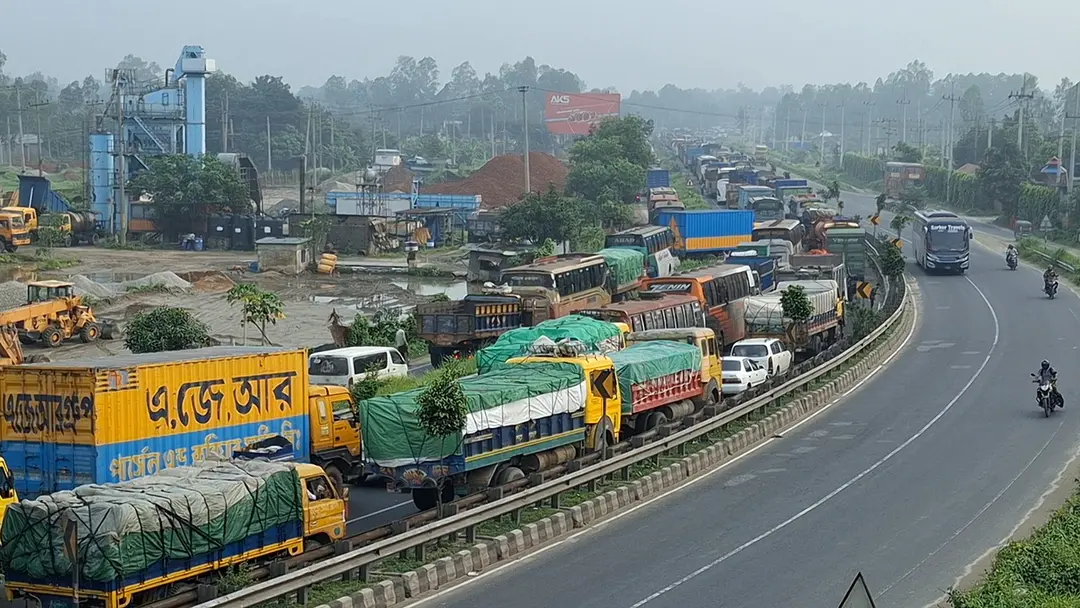 tangail 1