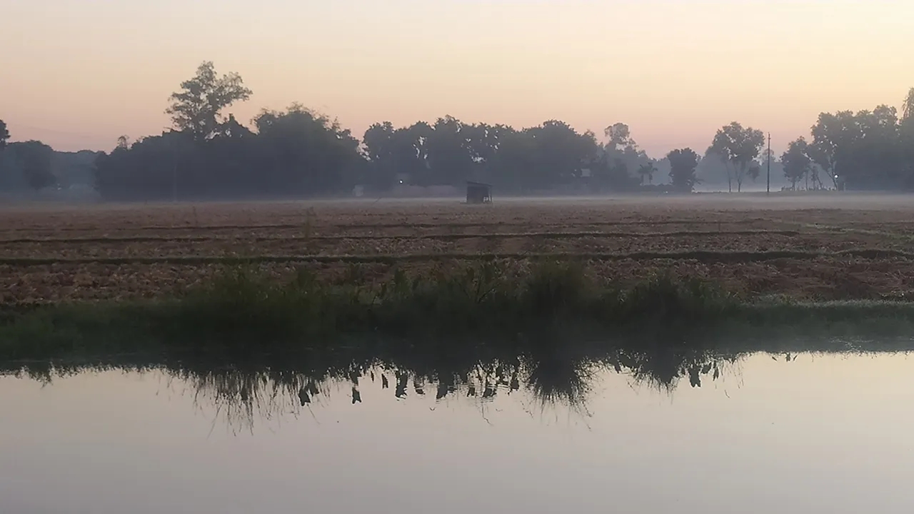 তেঁতুলিয়ায় তাপমাত্রা ১৩ ডিগ্রিতে
