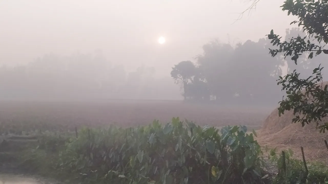 বাড়ছে শীতের দাপট, পঞ্চগড়ে তাপমাত্রা ১২ ডিগ্রিতে