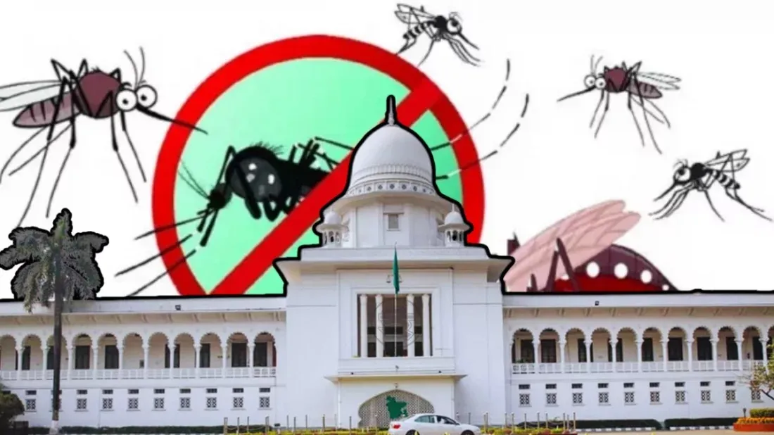 ডেঙ্গু নিয়ন্ত্রণে কার্যকর পদক্ষেপ গ্রহণের নির্দেশ হাইকোর্টের