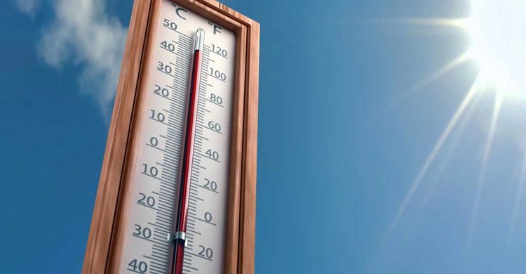 temp-weather-20250329164252