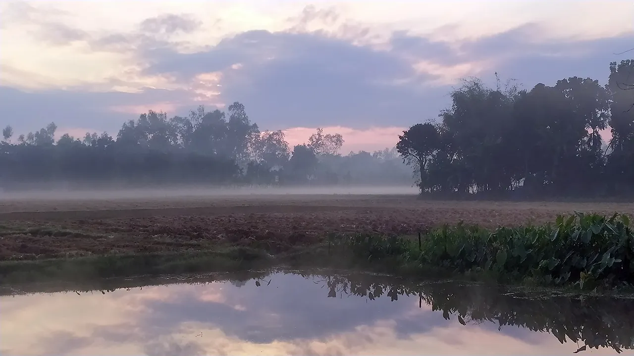 পঞ্চগড়ে হিমেল বাতাসে বাড়ছে শীতের তীব্রতা