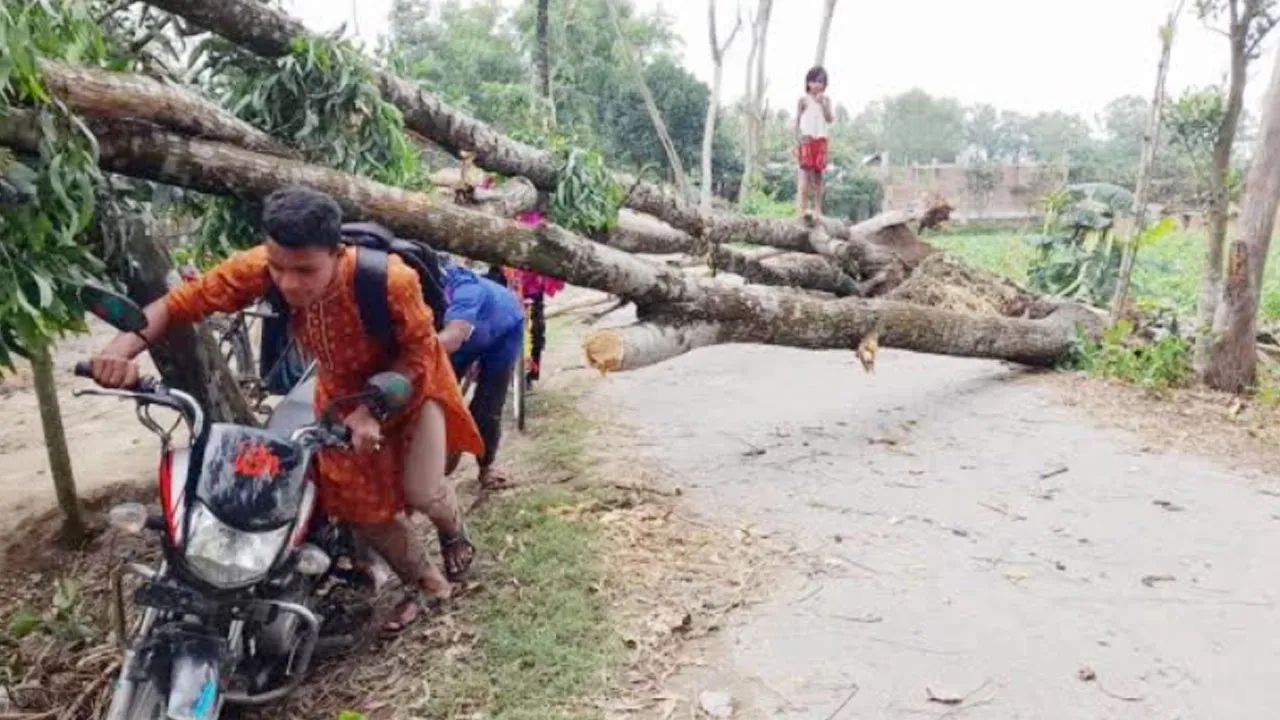 ঠাকুরগাঁওয়ে ১৫ মিনিটের ঝড়ে লন্ডভন্ড ২০ গ্রাম, তিনজনের মৃত্যু