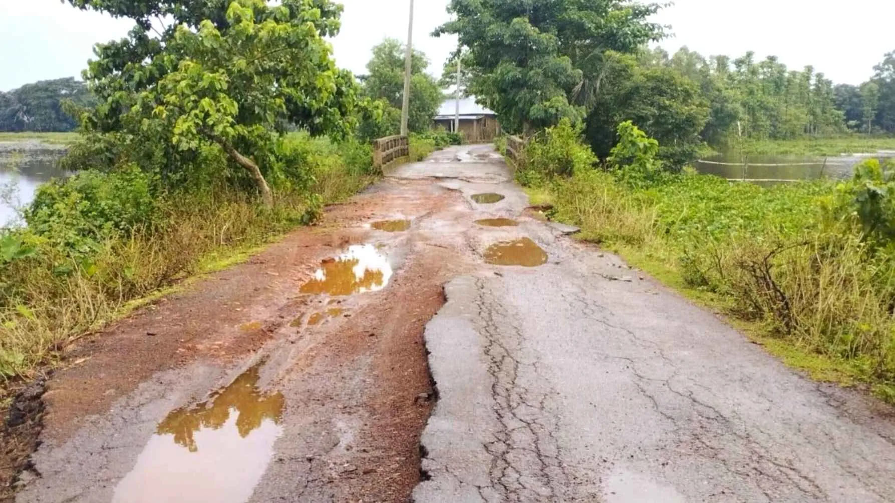 ভেসে উঠেছে বানের ক্ষত