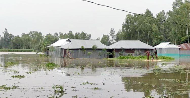 তিস্তায় পানি বেড়ে চর-নিম্নাঞ্চল প্লাবিত