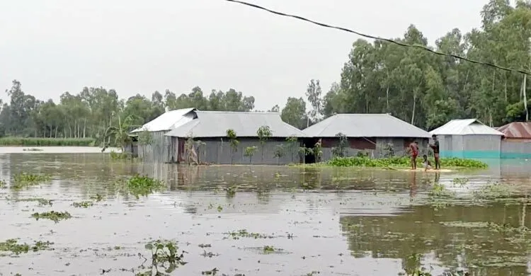 তিস্তায় পানি বেড়ে চর-নিম্নাঞ্চল প্লাবিত