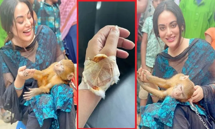 বানরের কামড়ে অসুস্থ তমা মির্জা