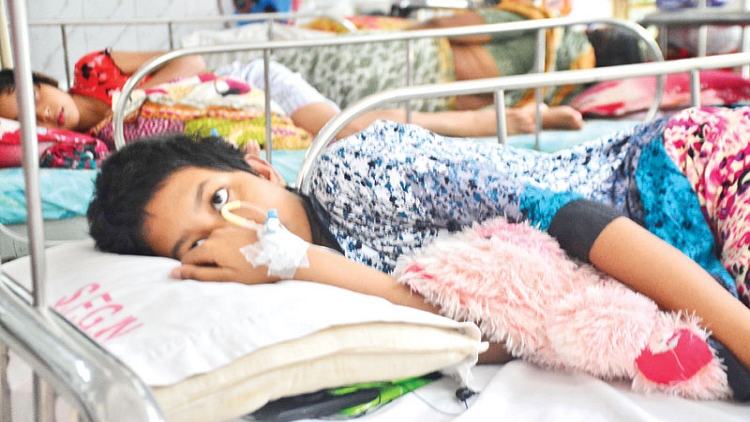 9 dengue patient die, 882 hospitalised