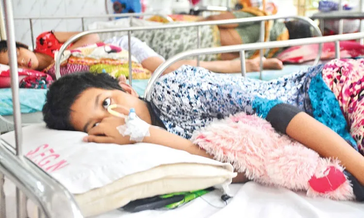 9 dengue patient die, 882 hospitalised