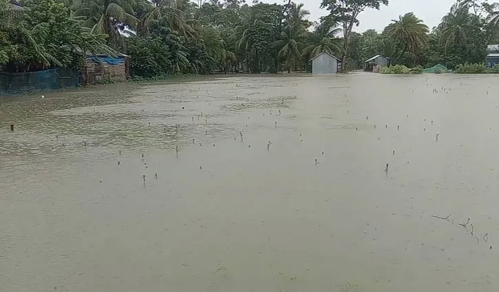 কলাপাড়ায় বছরের সর্বোচ্চ বৃষ্টির রেকর্ড