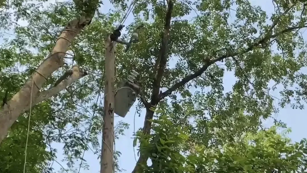 ট্রান্সমিটার চুরি করতে গিয়ে প্রাণ গেল যুবকের