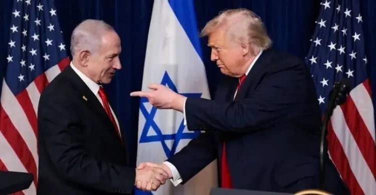 trump-mq5q4ft6orguhgj-20260609033142