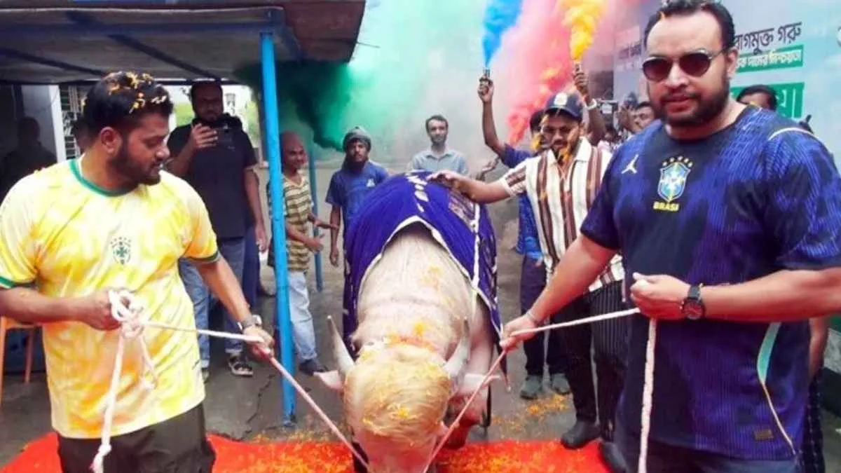 মহিষ ‘ডোনাল্ড ট্রাম্প’কে শেষ বিদায়