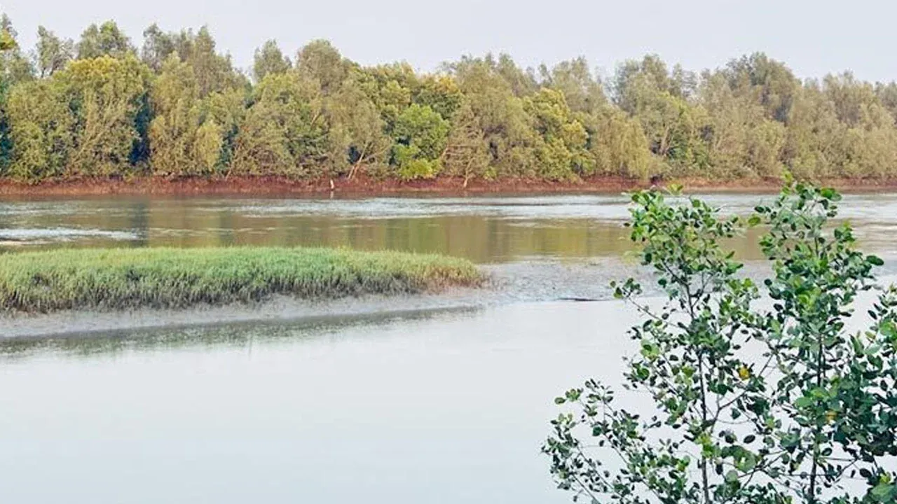সীমান্তে  মাইন বিস্ফোরণে পা বিচ্ছিন্ন রোহিঙ্গা যুবকের