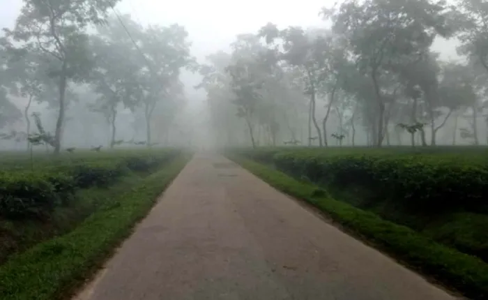 শ্রীমঙ্গলে দেশের সর্বনিম্ন তাপমাত্রা ১৫.৬ ডিগ্রি