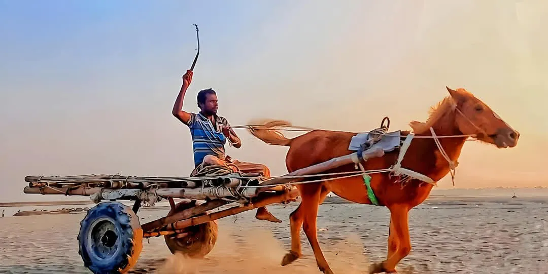 যান্ত্রিক যুগে চরাঞ্চলে একমাত্র ভরসা ঘোড়ার গাড়ি