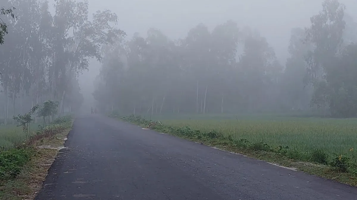 কড়া নাড়ছে শীত