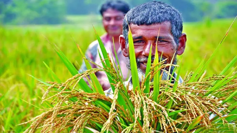 কৃষিঋণ বিতরণের লক্ষ্যমাত্রা ৩৮ হাজার কোটি টাকা