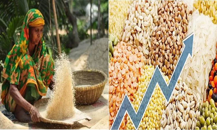 উৎপাদন না বাড়লে খাদ্যের দাম আরও বাড়বে