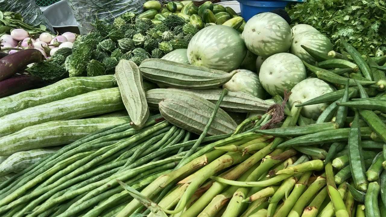 veg-bg-20250409115111