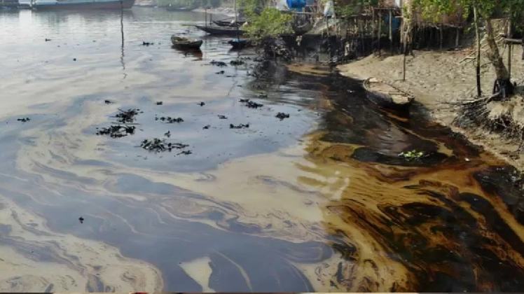Eight ways to overcome waste pollution crisis