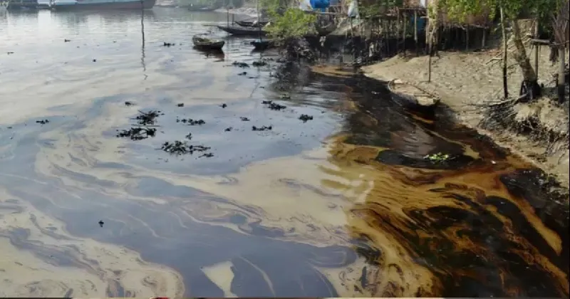 Eight ways to overcome waste pollution crisis