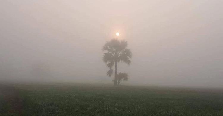 ঘন কুয়াশা নিয়ে যে বার্তা দিলো আবহাওয়া অফিস