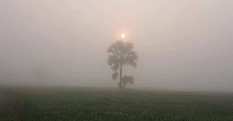ঘন কুয়াশা নিয়ে যে বার্তা দিলো আবহাওয়া অফিস
