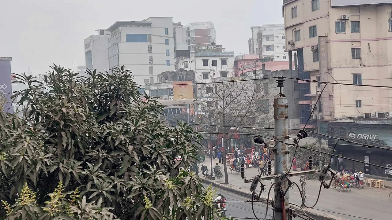 ঢাকায় বৃষ্টির মতো ঝরেছে কুয়াশা
