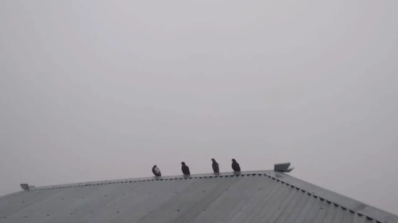 ঢাকায় একদিনে তাপমাত্রা কমেছে ২.৩ ডিগ্রি