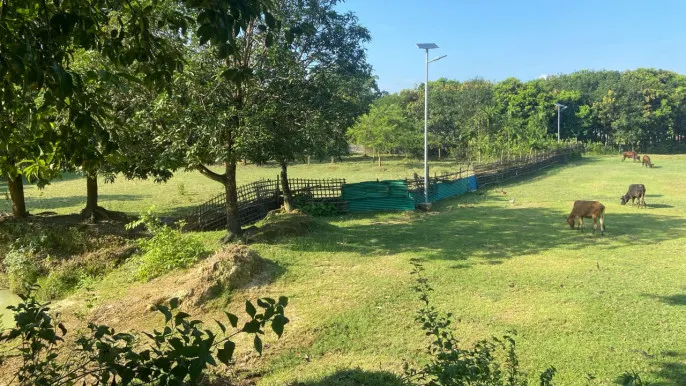 ১৫ বছর পর টেকনাফে বৌদ্ধ বিহারের জমি উদ্ধার