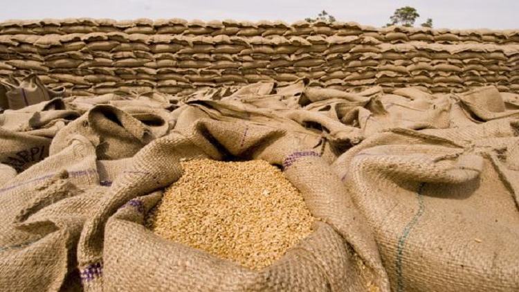 Bangladesh needs to import 6.2mn tonnes of wheat from India this fiscal