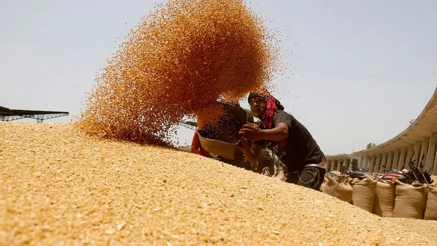 Govt to import 3 lakh tonnes wheat from Russia